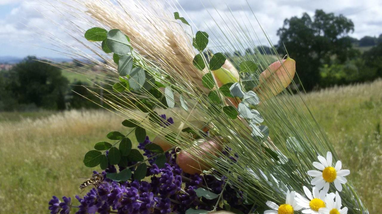 Amor Di Lavanda Cingoli Exteriör bild