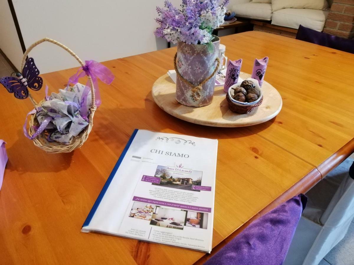 Amor Di Lavanda Cingoli Exteriör bild